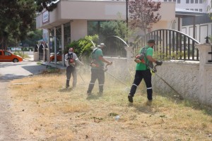 YALOVA BELEDİYESİ’NDEN KAPSAMLI OT BİÇME ÇALIŞMASI