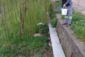 LARVA ODAKLARININ İLAÇLANMASI DEVAM EDİYOR