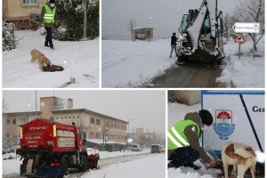 YALOVA BELEDİYESİ EKİPLERİ TEYAKKUZDA