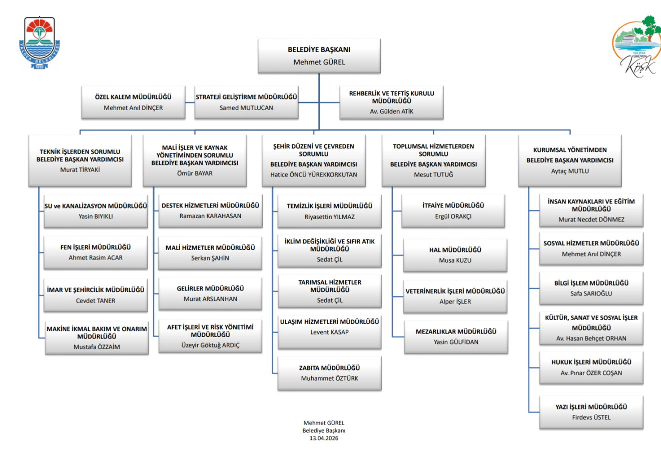 organizasyon şeması