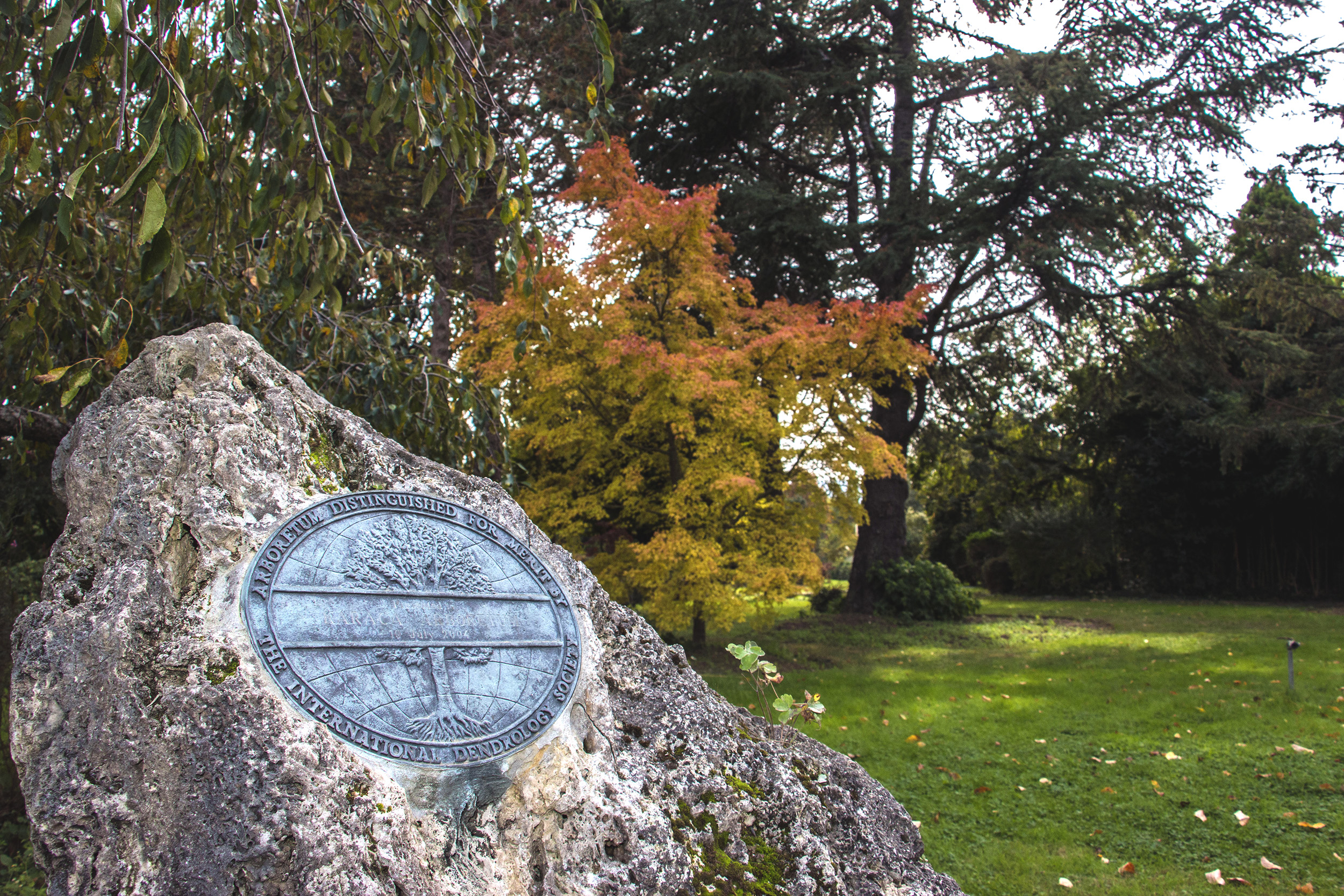 KARACA ARBORETUM CANLI AĞAÇ MÜZESİ